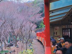 -岚山嵯峨野观光小火车