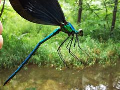 -碓臼峪自然风景区