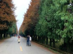 -山王坪喀斯特国家生态公园