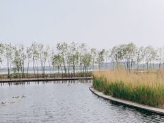-绿堤公园