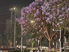 -守柴炉烤鸭(温江新尚天地店)