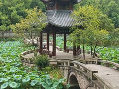 -忠山公园