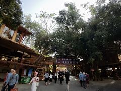 -海南槟榔谷黎苗文化旅游区