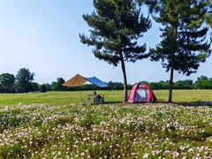 -汉长安城未央宫国家考古遗址公园