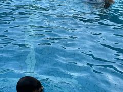 -广东温泉宾馆