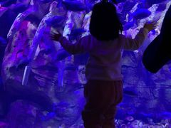 -波塞冬旅游度假区