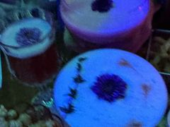 -MOSSO音乐酒吧·Live House(南京西路店)