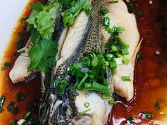 -悦哉·派对·草坪婚礼·围炉煮茶(三圣乡店)