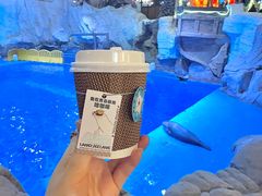 -海合安青岛极地海洋公园