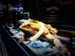 -梵薇Joker.V银饰工作室