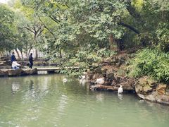-兰亭风景区