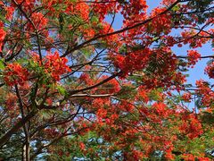 -白沙门生态公园