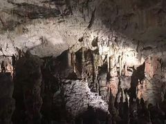 -波斯托伊纳溶洞