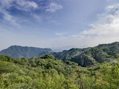 -大岭沟猕猴桃谷风景区
