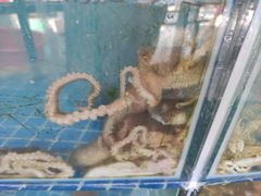 -蟹谢蒸鲜自助餐厅