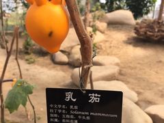 -南通洲际绿博园