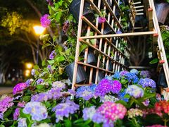 -常州古运河南大街文化旅游区-人民公园