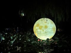-北陵公园