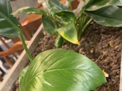 -二分八云雁阁•新晋菜大同味(长治路店)