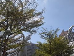 -海花岛旅游度假区