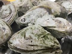 桑拿蚝-蚝专家(北滘店)