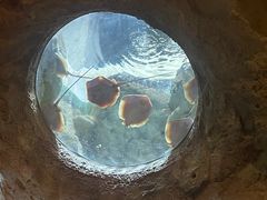 -珠海长隆海洋王国