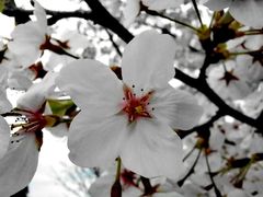 -同济大学(嘉定校区)