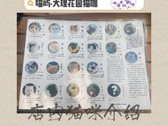 -喵屿·大理花园猫咖