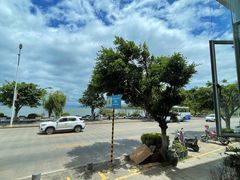 -野菌皇海景野生菌火锅(滨海大道店)