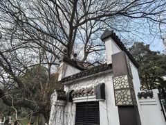 -包公祠