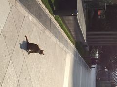 iphone_upload_pic-北外滩滨江绿地