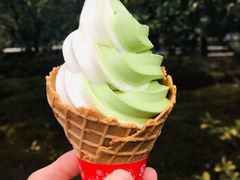-豆政(金閣寺境内売店)