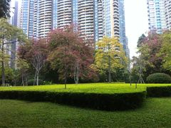 珠江公园-广州珠江公园