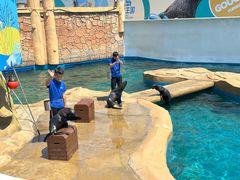 -秦皇岛乐岛海洋王国