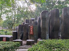 -海口火山口国家地质公园