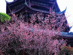 -成都杜甫草堂博物馆