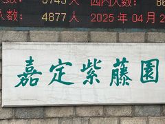-嘉定紫藤园