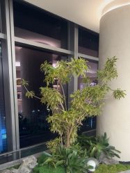 -深圳芙必优医疗美容·抗衰中心