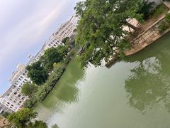 -赤坎·广东华侨国际旅游度假区