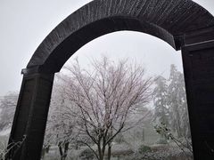 -四明山国家森林公园