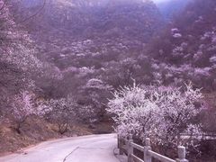 -崆峒山景区