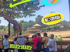 -大连森林动物园