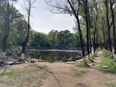 -高尔山公园