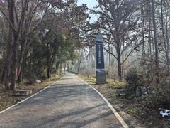 -青龙山国家森林公园