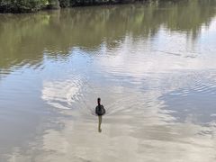 -盐城丹顶鹤湿地生态旅游区