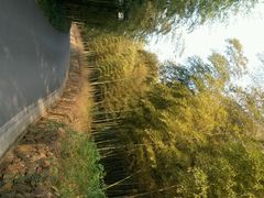 android_upload_pic-苏州环秀晓筑养生度假村