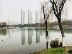 -后襄河公园