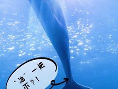 -杭州长乔极地海洋公园