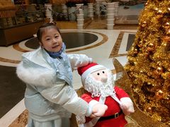 -怡聚轩全日制自助餐厅(大中华喜来登酒店)