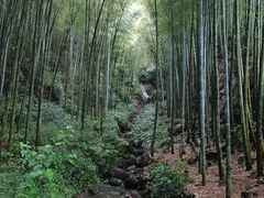 -石舍洒秀咖啡馆